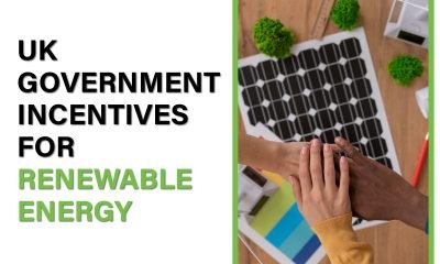Discover grants, schemes, and incentives available in the UK to help homeowners switch to renewable energy and cut energy costs.